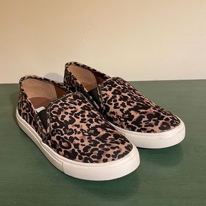 Steve Madden Sneakers